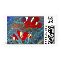 Band Postage stamps