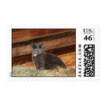 Band Postage postage by joacreations Band Postage postage