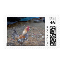 Band Postage postage