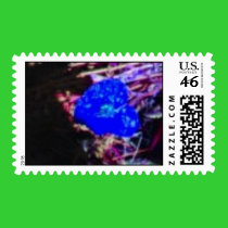 Band Postage postage by VIKINGJIM Band Postage postage