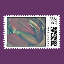 Band Postage postage