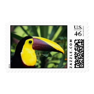 Band Postage by pidgiefund