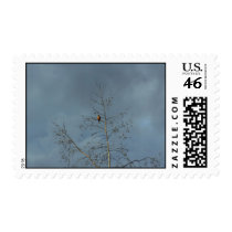 Band Postage postage by joacreations Band Postage postage