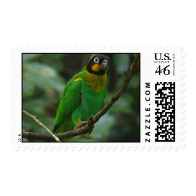 Band Postage by pidgiefund