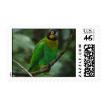 Band Postage