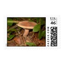 Band Postage postage