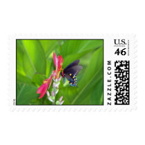Band Postage postage