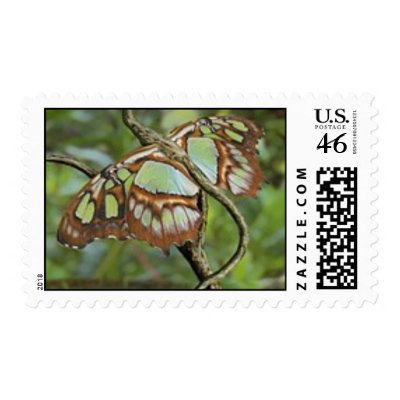 Band Postage by pidgiefund