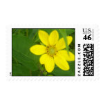 Band Postage - Customized