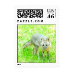 Band Postage - Customized