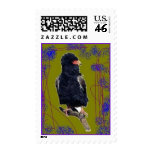 Band Postage - Customized