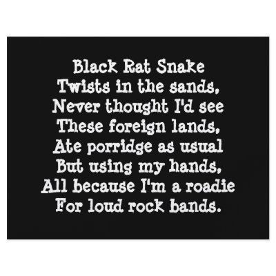 Band Roadie Poem. Custom Custom Flyer by Slogans_Humor_Text