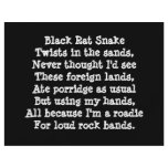 Band Roadie Poem. Custom flyers