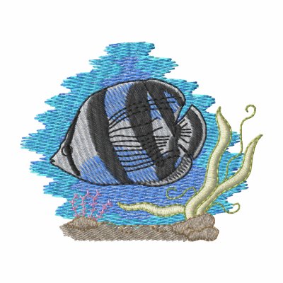 Banded Butterfly Fish Banded Butterfly Fish