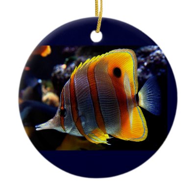 Banded fish and a Clown fish Christmas Tree Ornaments by DesertShaman