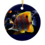 Banded fish and a Clown fish Christmas Tree Ornaments