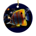 Banded fish and a Clown fish ornaments