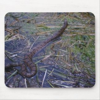 Banded Water Snake mousepad