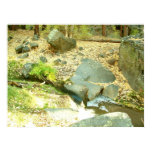 Bandelier National Monument posters
