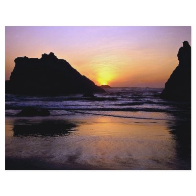 Bandon Beach, Bandon, Oregon, U.S.A. Flyer by beautifulclicks