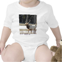 Banff Elk t-shirts by litehrse Banff Elk t-shirts