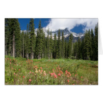 Banff Flowers Canada Cards