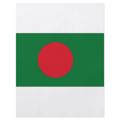 Bangladesh National Flag Flyers by All_Flags