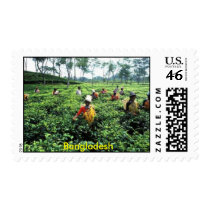 Bangladesh Stamps