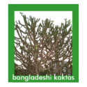 bangladeshi kaktas posters
