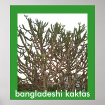 bangladeshi kaktas poster
