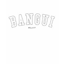 Bangui t-shirts