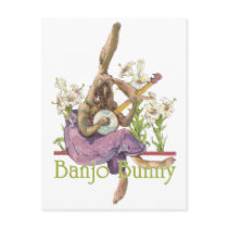 Banjo Bunny Postcard postcards