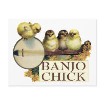 Banjo Chick Postcard postcards