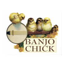 Banjo Chick Poster posters