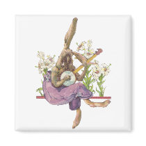 Banjo Playing Bunny Magnet magnets