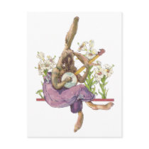 Banjo Playing Bunny Postcard postcards