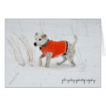 Banjo, Snow Day Greeting Card