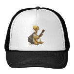 Banjo-Strummin’ Tortoise Hat