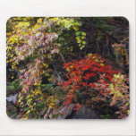 Bank of a Mountain Mousepad Bank of a Mountain Mousepad