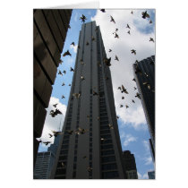 Bank One Plaza Escape cards