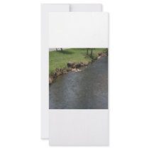 Banks of the river full color rack card