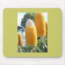 Banksia "Golden Candlesticks" Mousepad