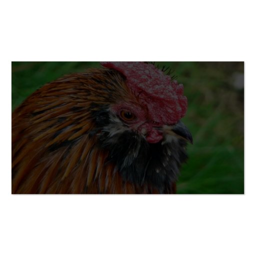 Bantam Hen Animal Business Card Template (back side)