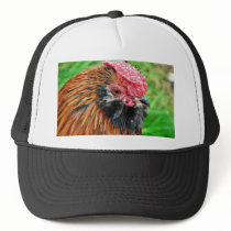 Bantam Hen Animal Mesh Hat