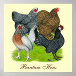 Bantam Hen Quartet, Bantam Hens Print