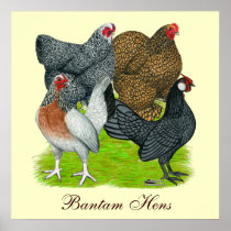 Bantam Hen Quartet, Bantam Hens Print