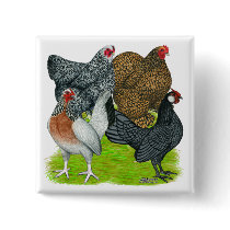 Bantam Hen Quartet Pin
