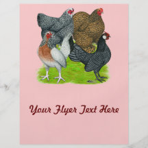 Bantam Hen Quartet Custom Flyer