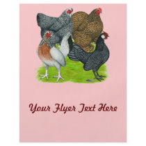 Bantam Hen Quartet Custom Flyer