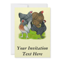 Bantam Hen Quartet Personalized Invitation